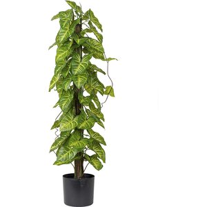 Mr Plant Tekokasvi Aasinkorva 90 cm