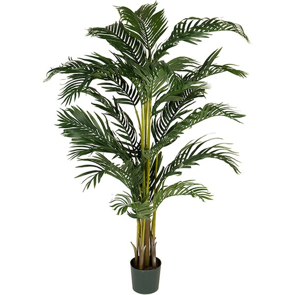 Mr Plant Tekokasvi Kentiapalmu 140 cm